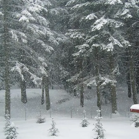 Apartments Borovets شقة