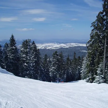 شقة Apartments Borovets *