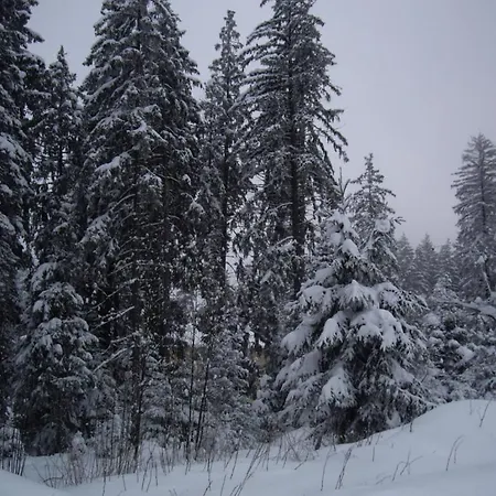 Apartments Borovets