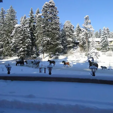 Apartments Borovets شقة *