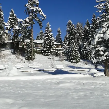 شقة Apartments Borovets بوروفتس