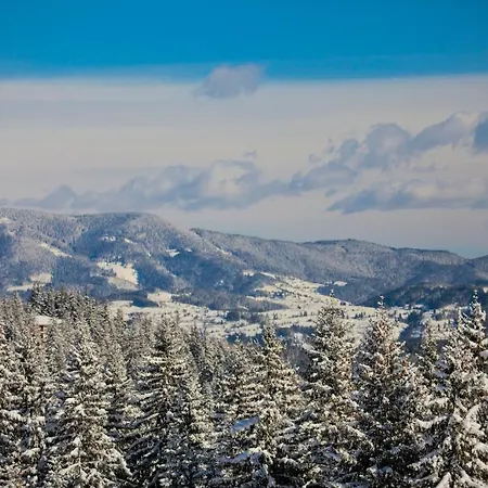 Apartments Borovets شقة بوروفتس
